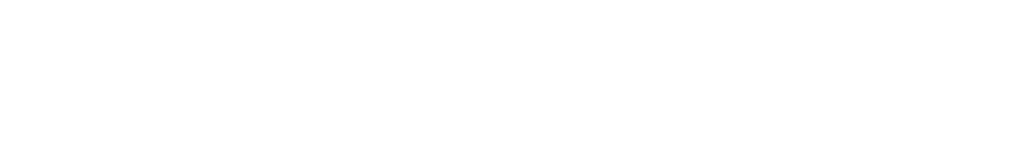 maxion_20montich